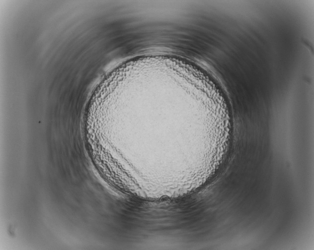 X0000102271429200808221428