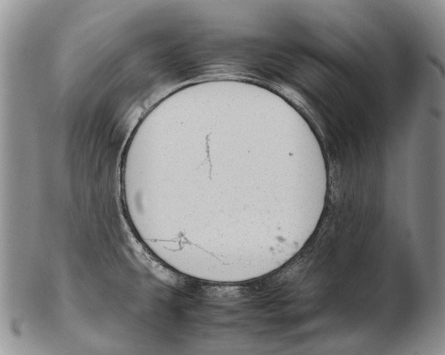 X0000102271431200808221428