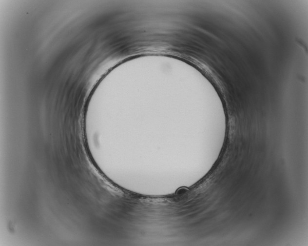 X0000102271432200808221428