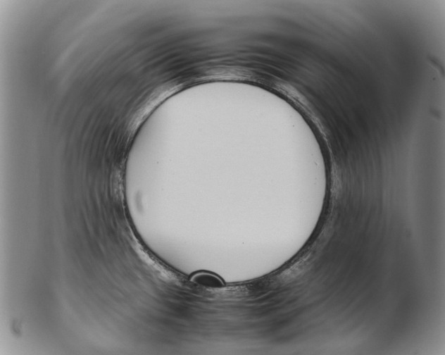X0000102271433200808221428