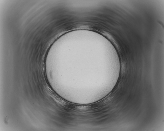 X0000102271435200808221428