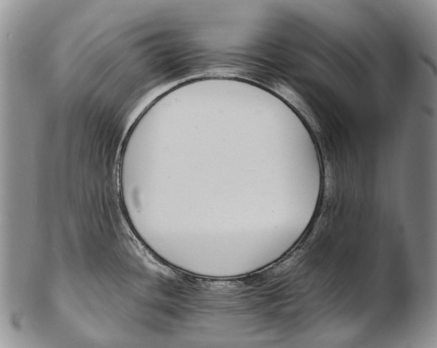 X0000102271436200808221428