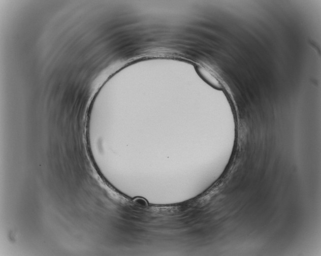 X0000102271437200808221428