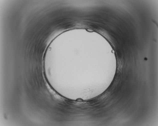 X0000102271439200808221428