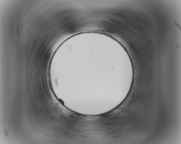 X0000102271440200808221428