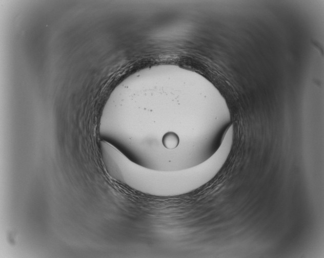 X0000102271441200808221427