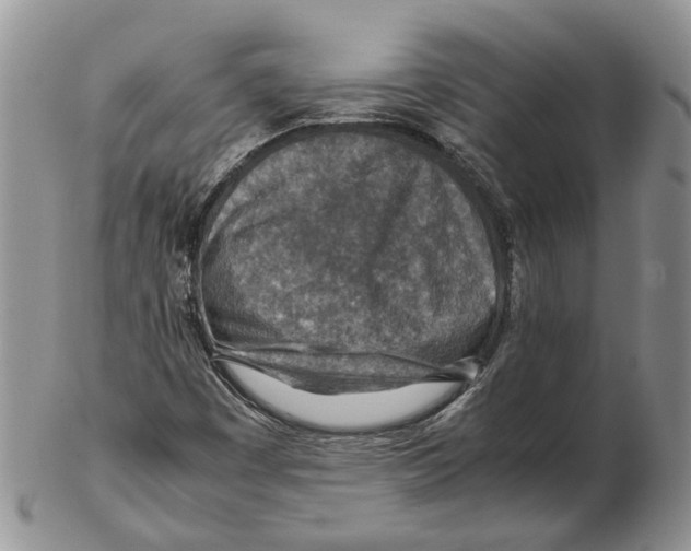 X0000102271449200808221427