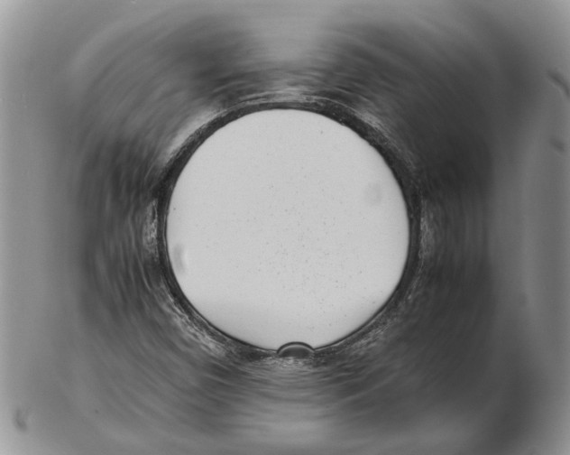 X0000102271450200808221427