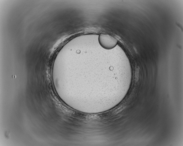 X0000102271454200808221427
