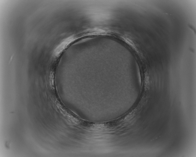 X0000102271455200808221427