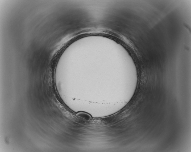 X0000102271456200808221427