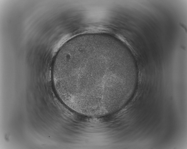 X0000102271459200808221427