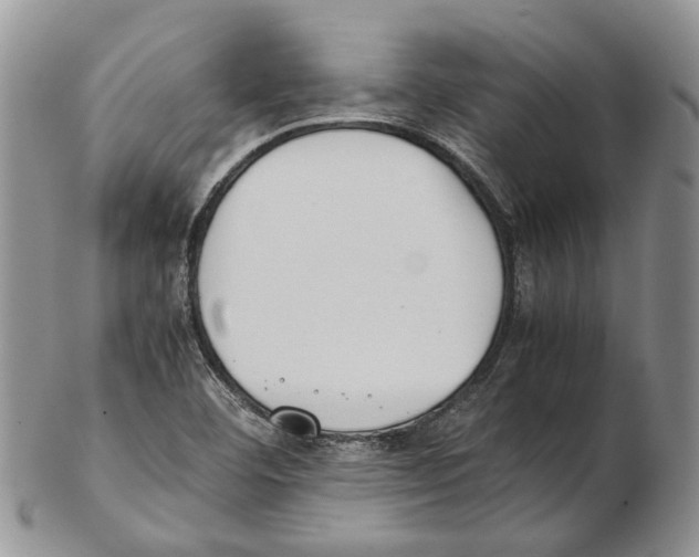 X0000102271460200808221427
