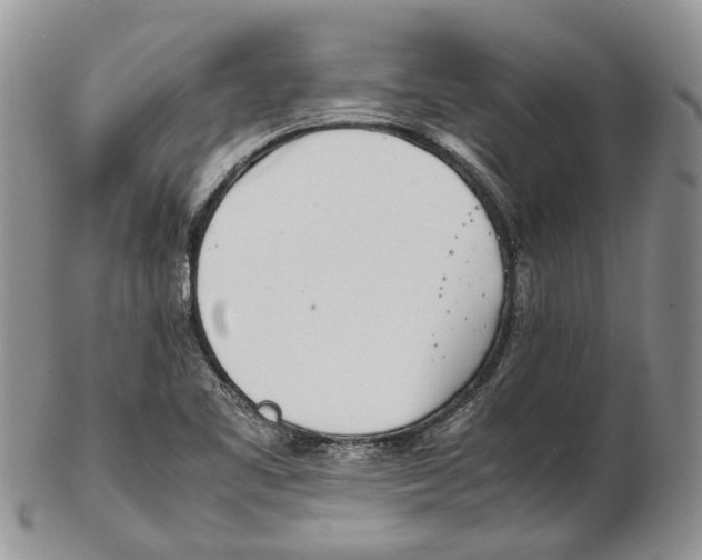 X0000102271461200808221427