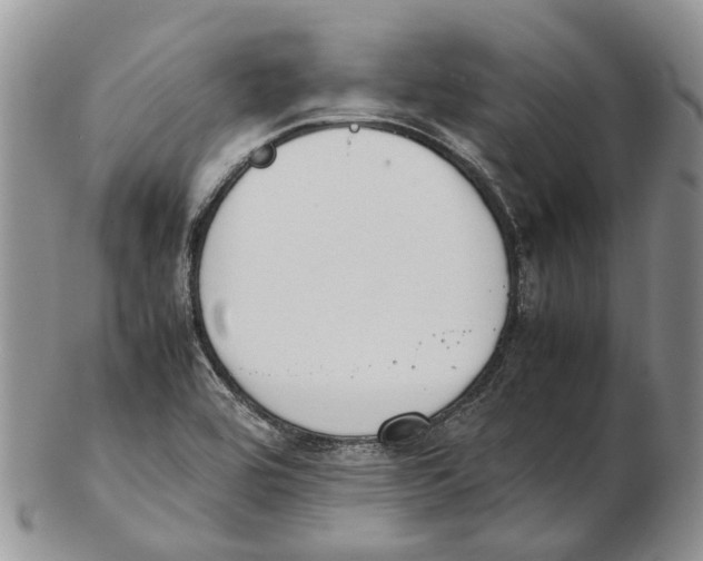 X0000102271464200808221427