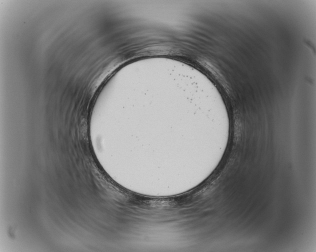 X0000102271465200808221427