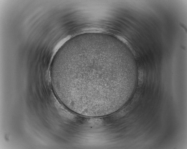 X0000102271466200808221427