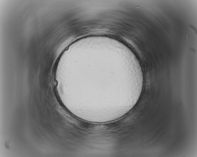 X0000102271467200808221427