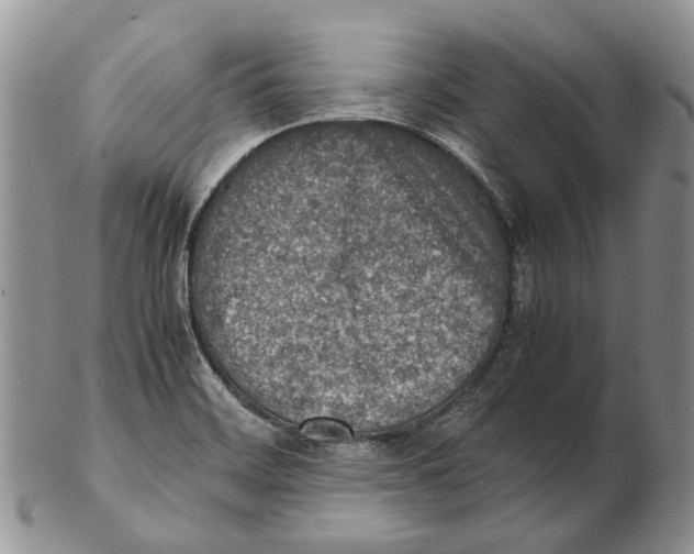 X0000102271468200808221427