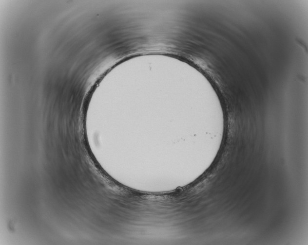 X0000102271469200808221427