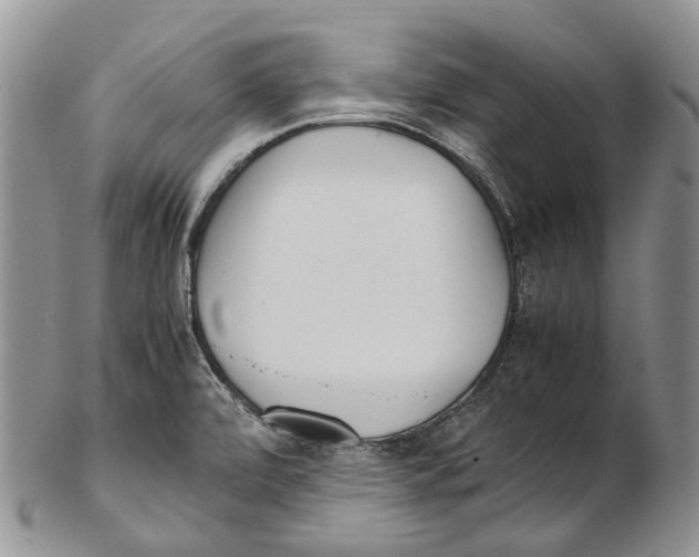 X0000102271472200808221427