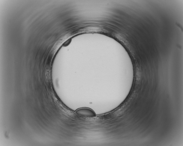 X0000102271473200808221427