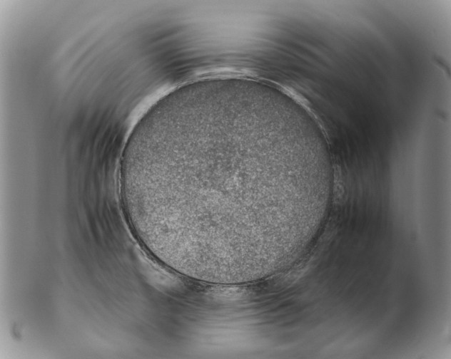 X0000102271474200808221427