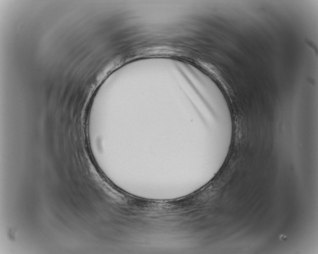 X0000102271475200808221427
