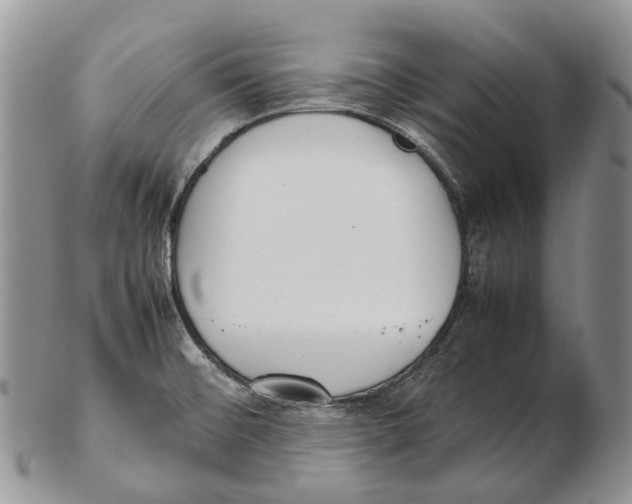 X0000102271476200808221427