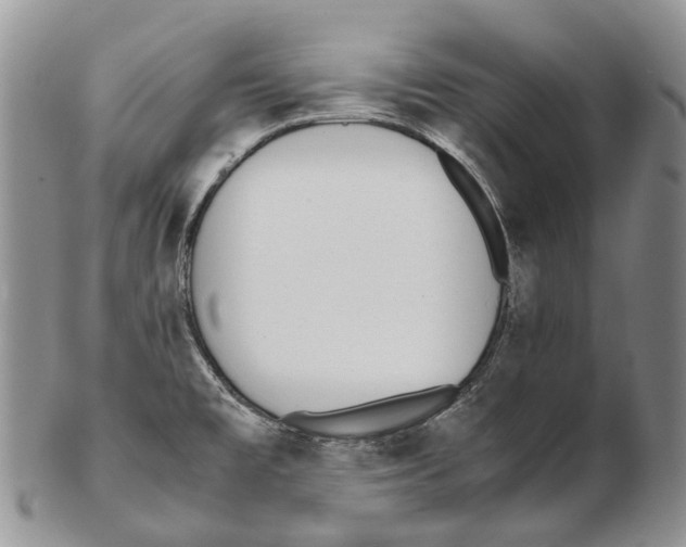 X0000102271477200808221427