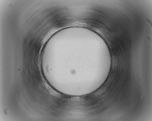 X0000102271478200808221427