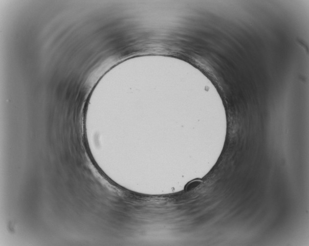 X0000102271479200808221427
