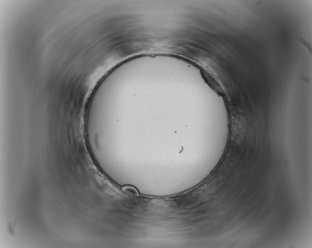 X0000102271480200808221427