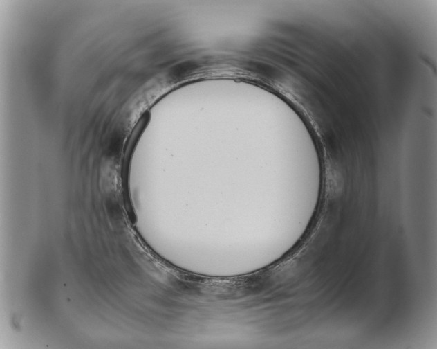 X0000102271481200808221427