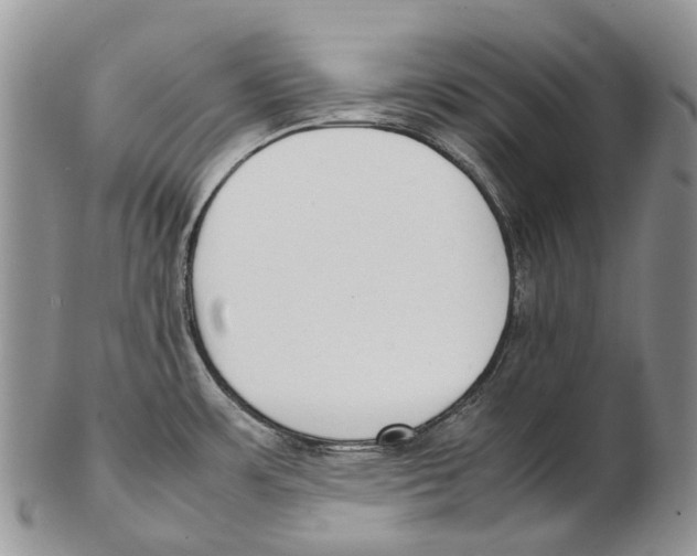 X0000102271483200808221427