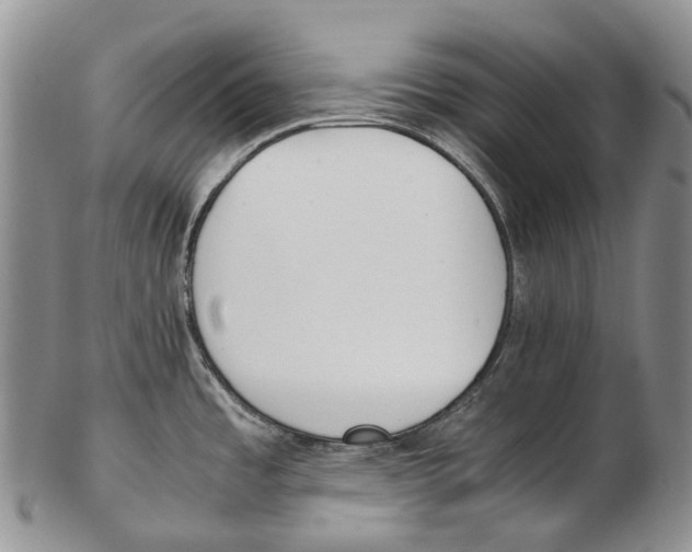 X0000102271485200808221427