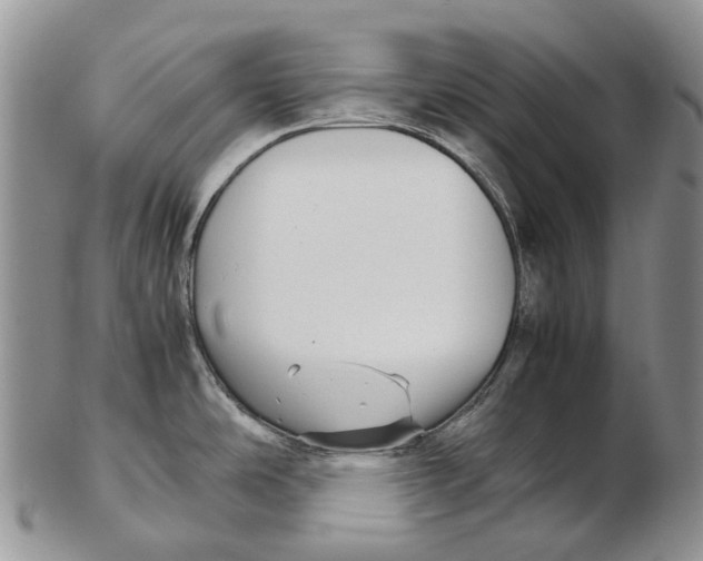 X0000102271486200808221427
