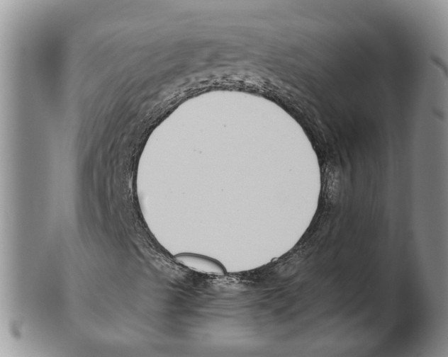 X0000102271489200808221426