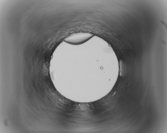 X0000102271491200808221426