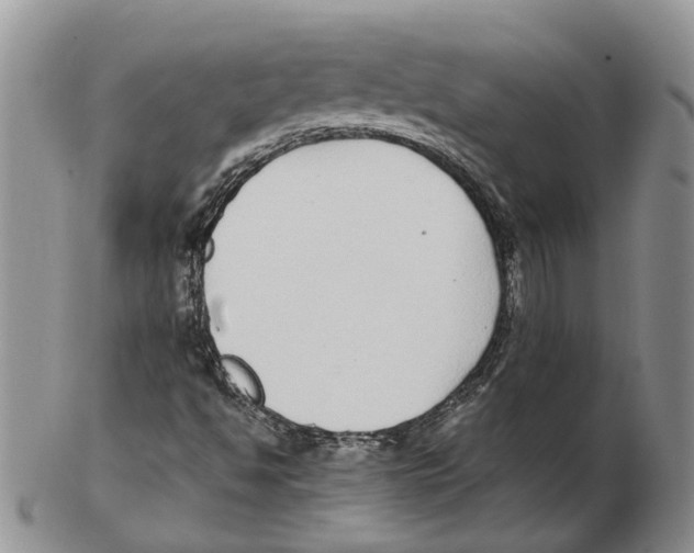 X0000102271494200808221426