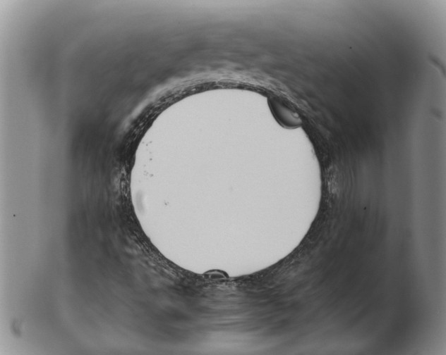 X0000102271495200808221426