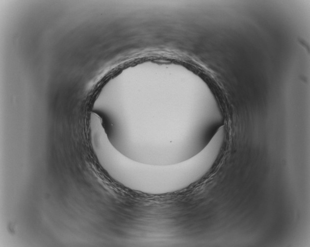 X0000102271496200808221426
