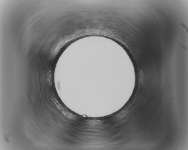 X0000102271499200808221426