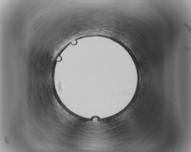 X0000102271500200808221426