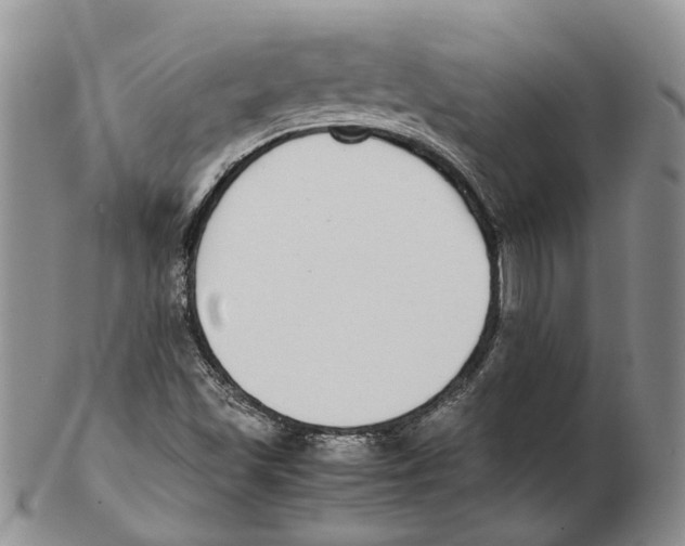 X0000102271501200808221426