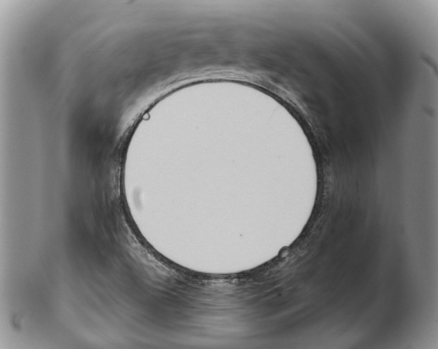 X0000102271504200808221426