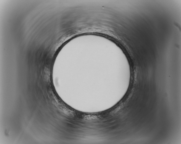 X0000102271505200808221426