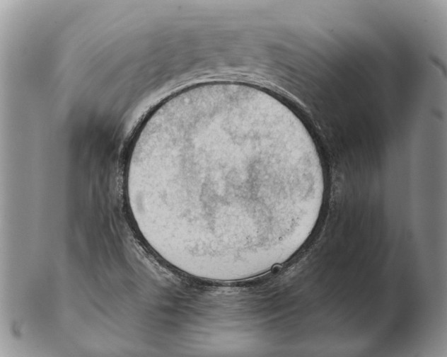 X0000102271506200808221426