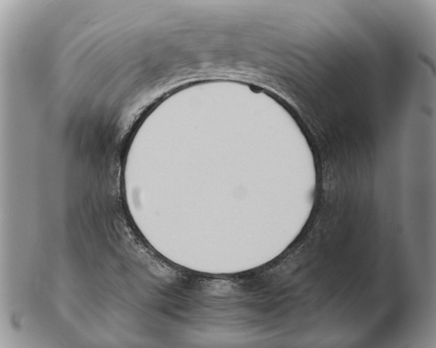X0000102271507200808221426