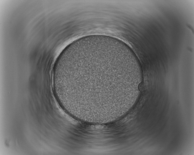 X0000102271515200808221426